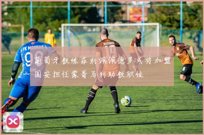葡萄牙教练菲利佩佩德罗或将加盟国安担任蒙哥马利助教职位